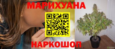 хмурый Краснодар